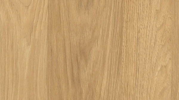 Hickory natur